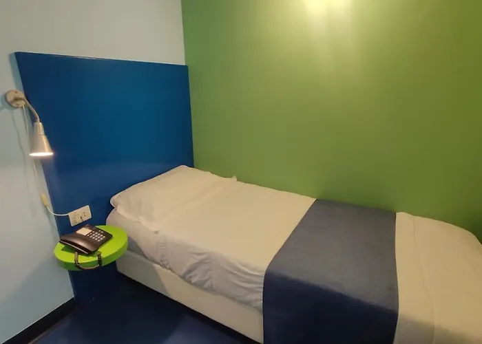 코레라 241 라이프스타일