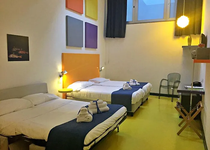 코레라 241 라이프스타일