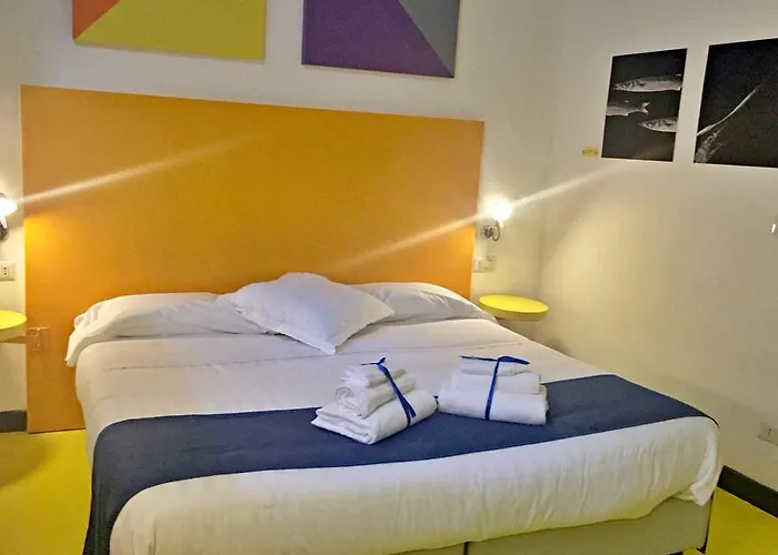 코레라 241 라이프스타일