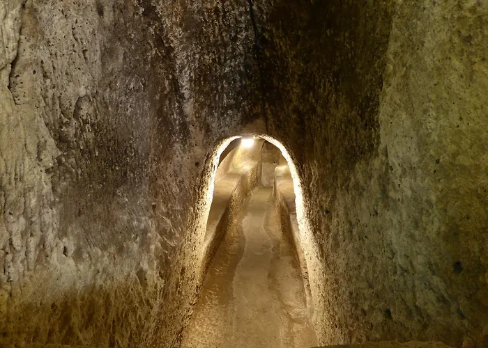 코레라 241 라이프스타일 3*