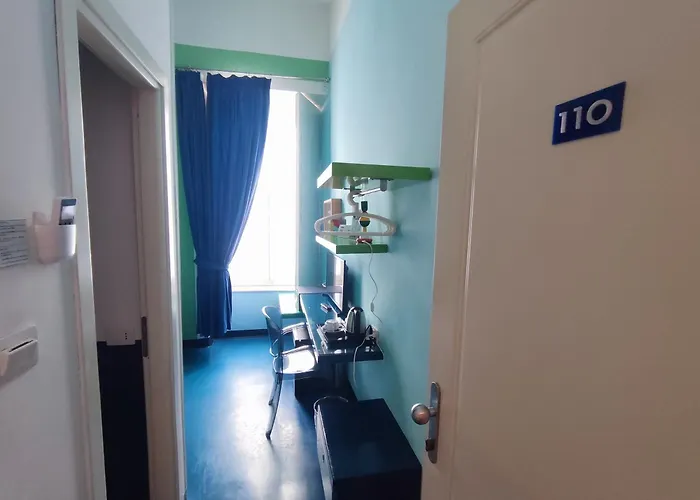 코레라 241 라이프스타일 3*