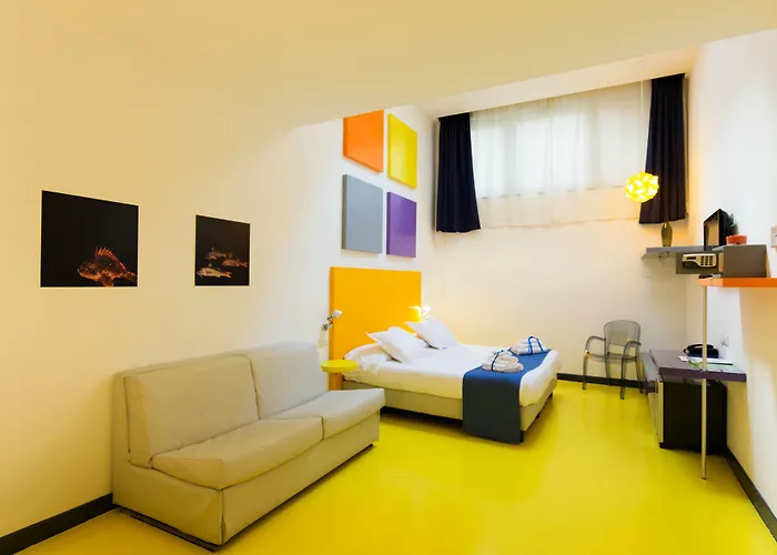 코레라 241 라이프스타일