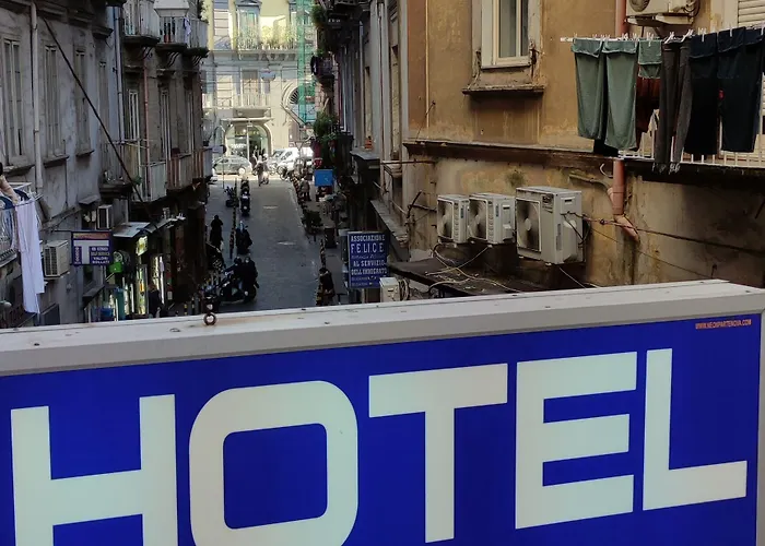 코레라 241 라이프스타일