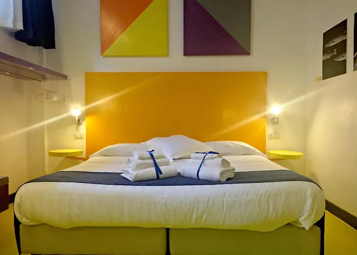 코레라 241 라이프스타일 3*