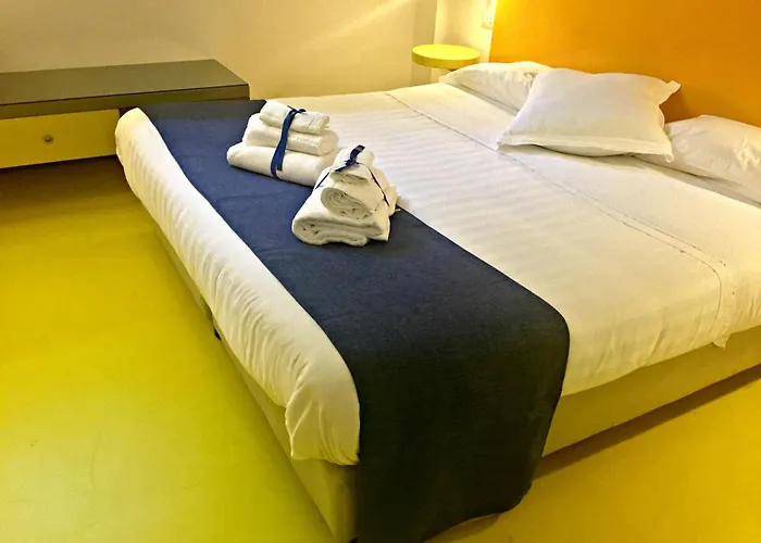 코레라 241 라이프스타일