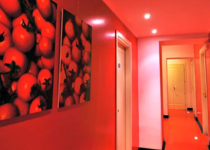 코레라 241 라이프스타일