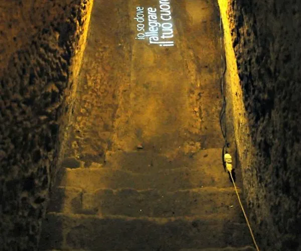 코레라 241 라이프스타일