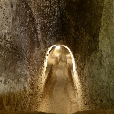 Correra 241 Lifestyle 3*