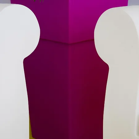 Correra 241 Lifestyle Hotel 3*